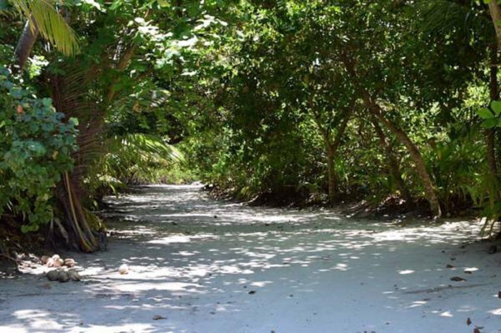 Madi Finolhu Guest House Dharavandhoo Buitenkant foto